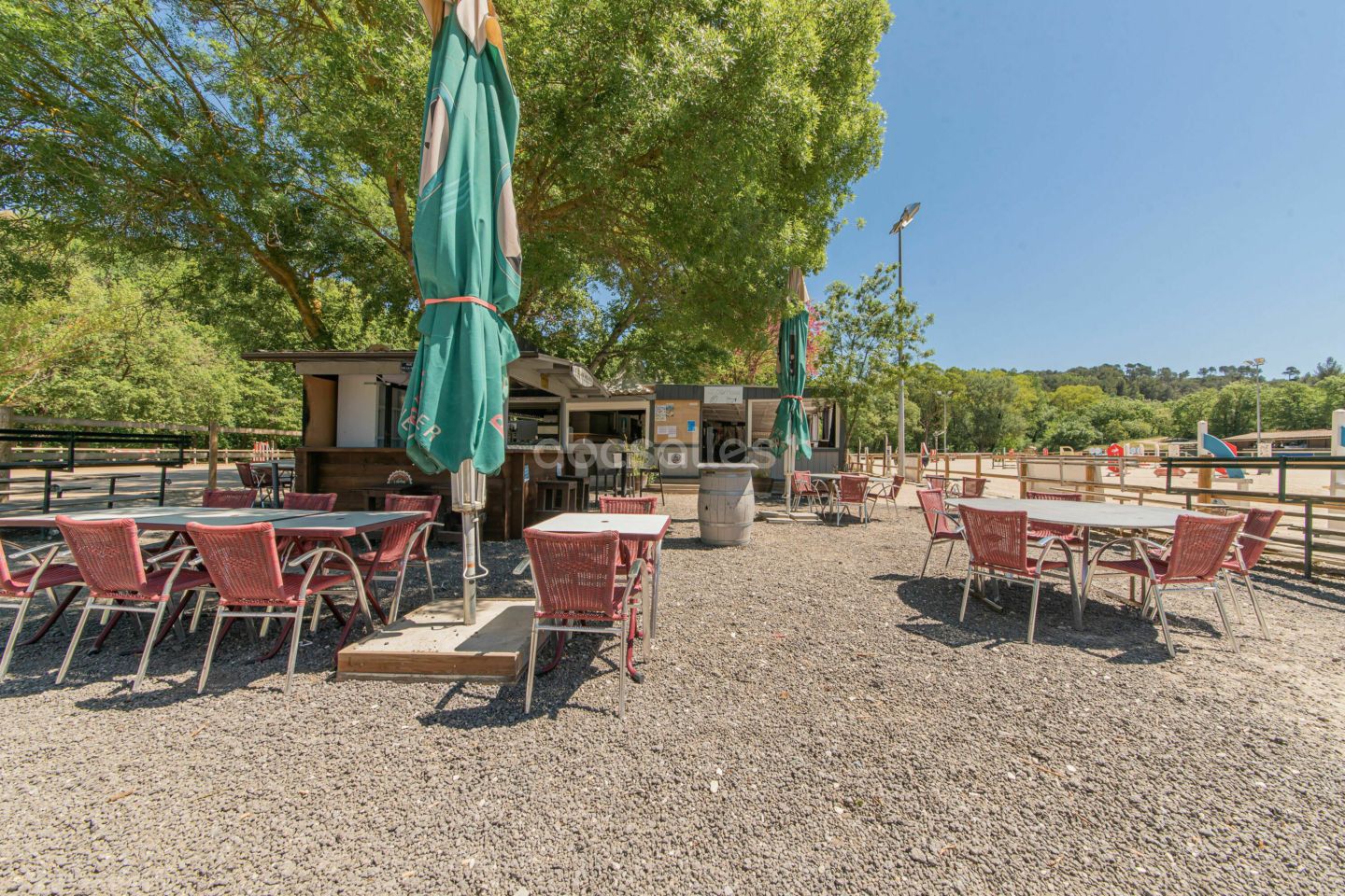 Les terrasses en gravier, avec tables et parasols, au bord de la carrière